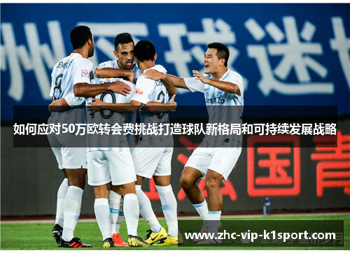 如何应对50万欧转会费挑战打造球队新格局和可持续发展战略