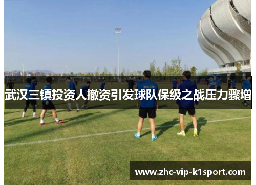 武汉三镇投资人撤资引发球队保级之战压力骤增 武汉三镇投资人撤资引发球队保级之战压力骤增
