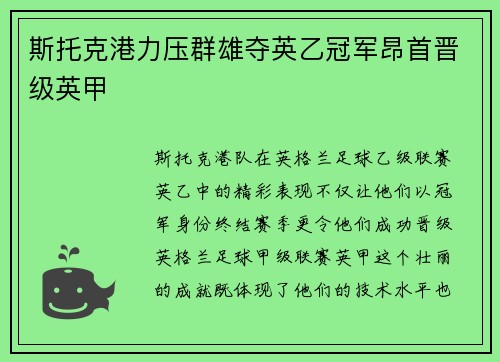 斯托克港力压群雄夺英乙冠军昂首晋级英甲